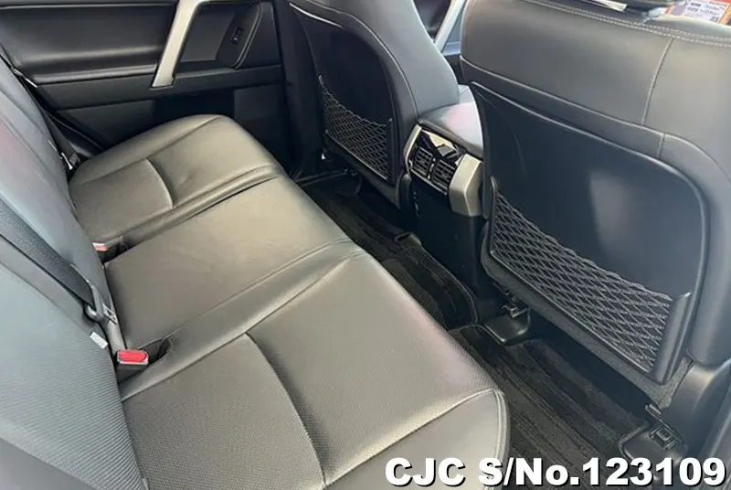 2019 Toyota / Land Cruiser Prado Stock No. 123109