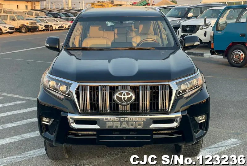 2010 Toyota / Land Cruiser Prado Stock No. 123236