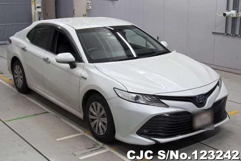 2019 Toyota / Camry Stock No. 123242