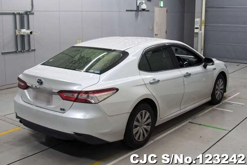 2019 Toyota / Camry Stock No. 123242