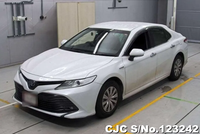 2019 Toyota / Camry Stock No. 123242