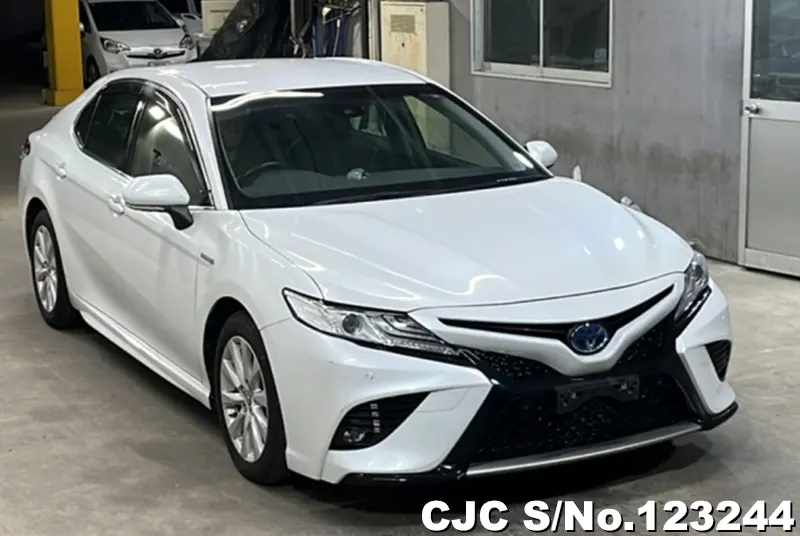 2019 Toyota / Camry Stock No. 123244