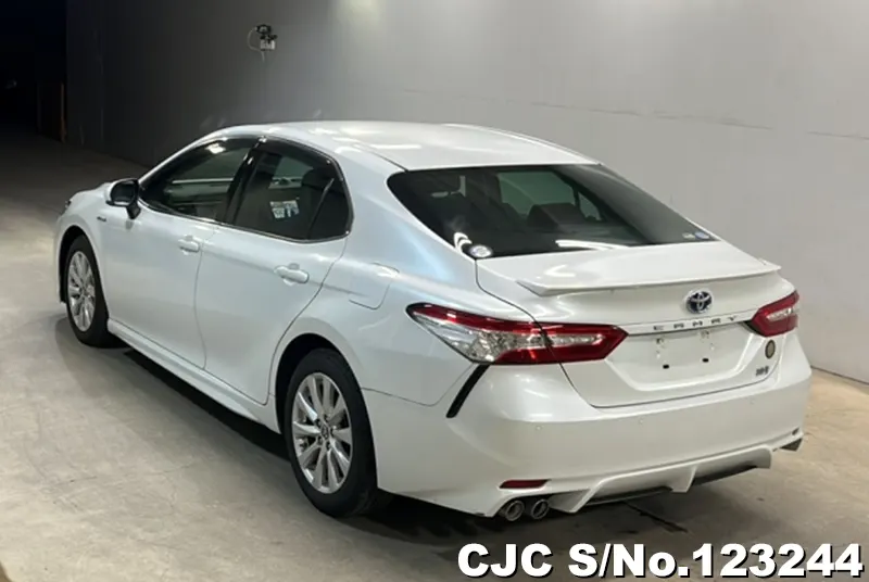 2019 Toyota / Camry Stock No. 123244