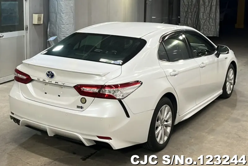 2019 Toyota / Camry Stock No. 123244