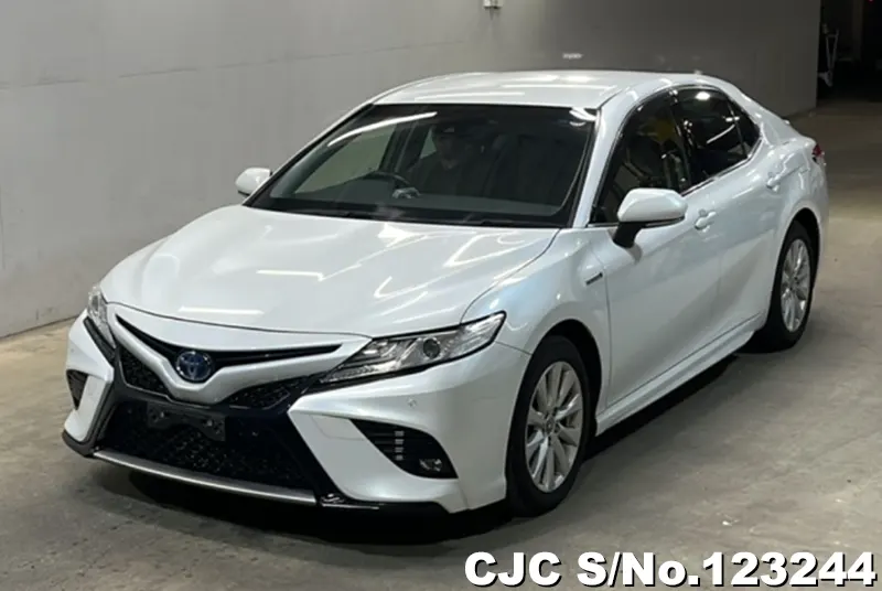 2019 Toyota / Camry Stock No. 123244