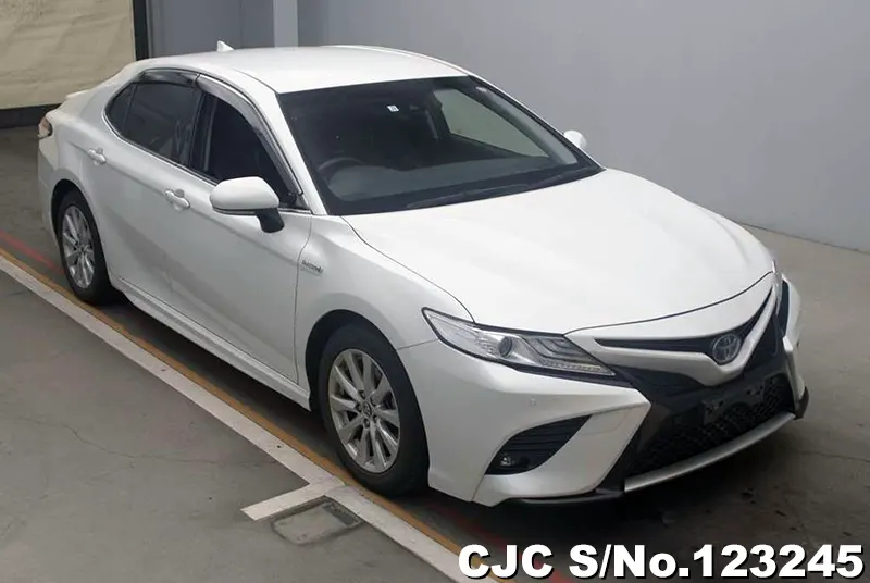 2019 Toyota / Camry Stock No. 123245