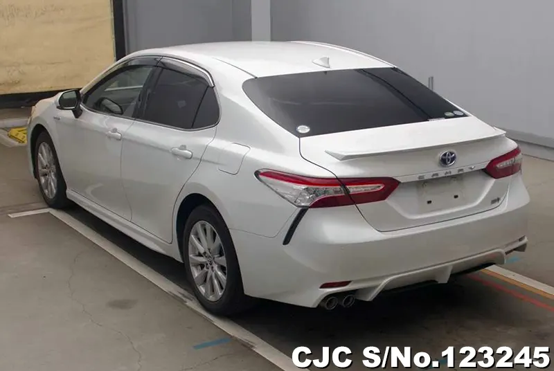 2019 Toyota / Camry Stock No. 123245