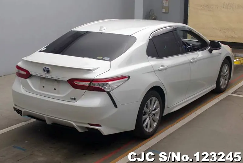 2019 Toyota / Camry Stock No. 123245