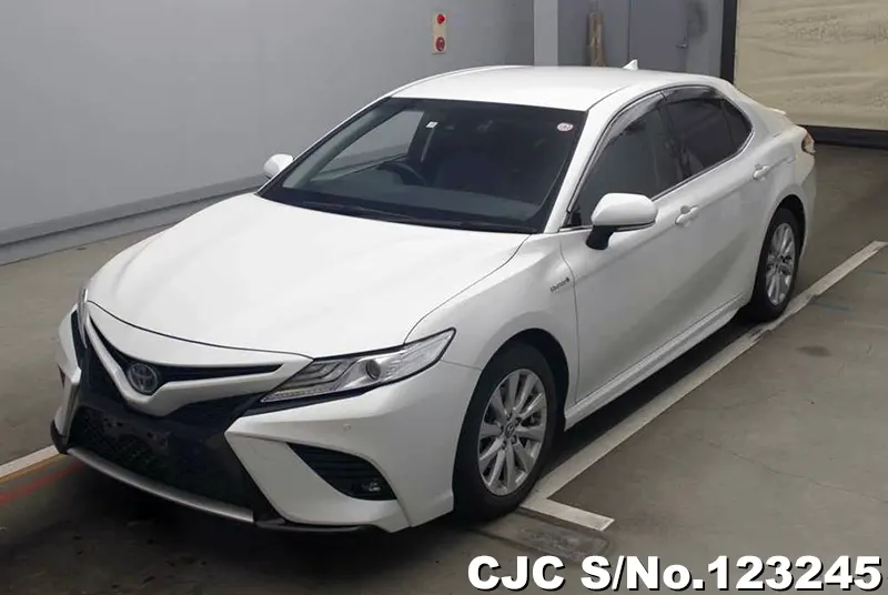 2019 Toyota / Camry Stock No. 123245