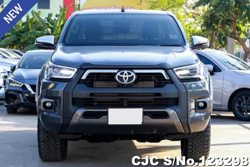 Toyota Hilux in Gray for Sale Image 2