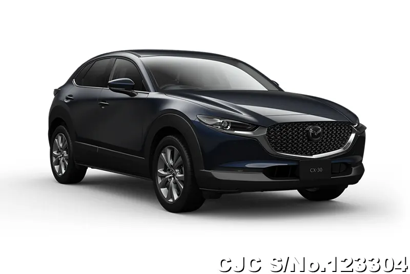 2025 Mazda / CX-30 Stock No. 123304