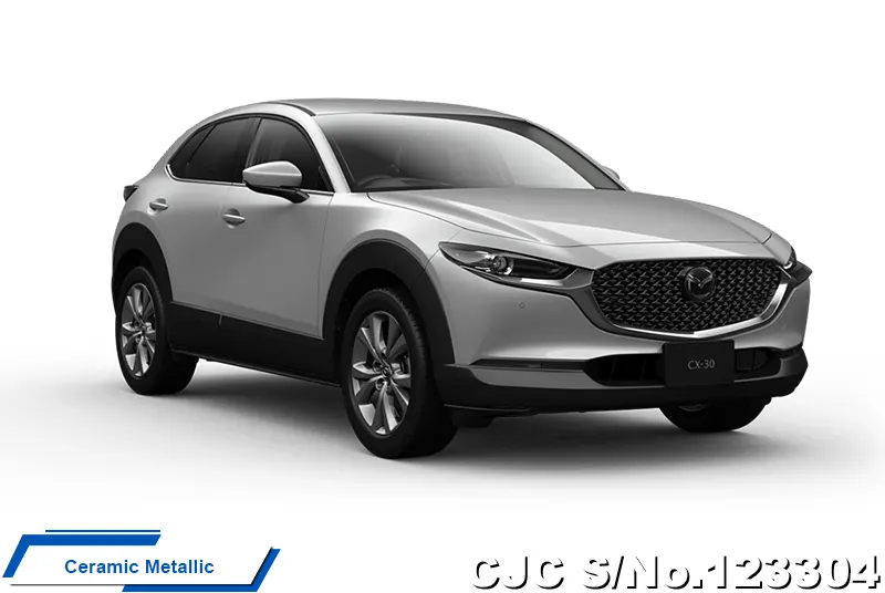 2025 Mazda / CX-30 Stock No. 123304