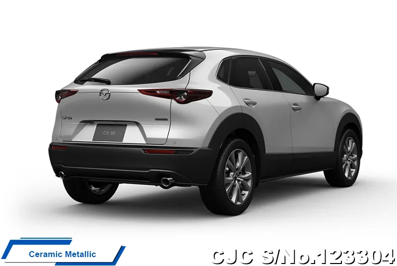 2025 Mazda / CX-30 Stock No. 123304