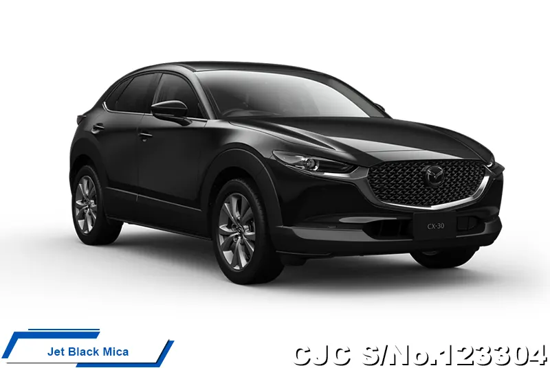 2025 Mazda / CX-30 Stock No. 123304