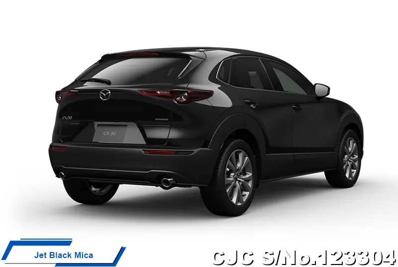 2025 Mazda / CX-30 Stock No. 123304