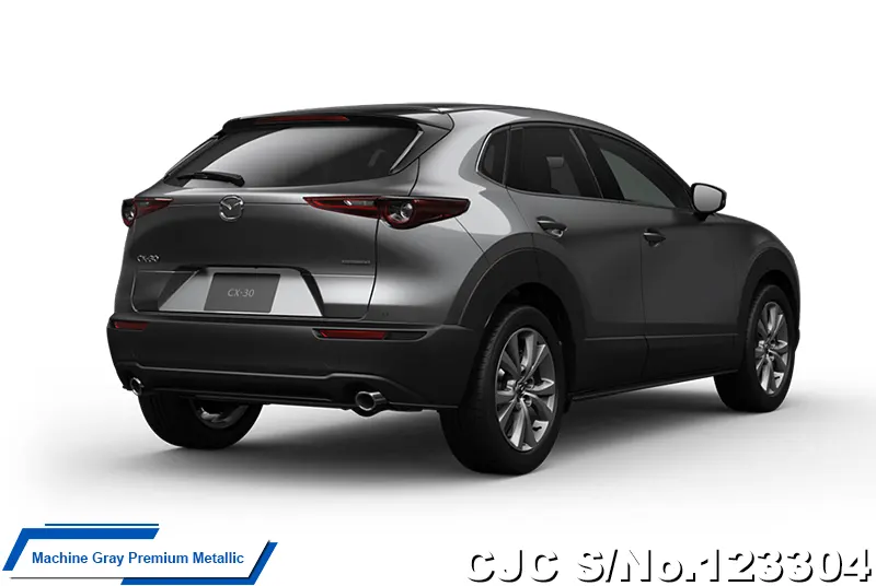 2025 Mazda / CX-30 Stock No. 123304