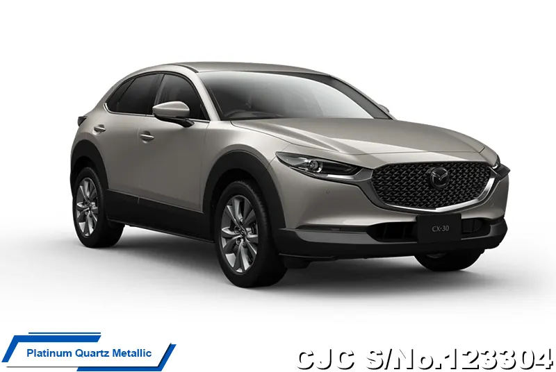 2025 Mazda / CX-30 Stock No. 123304