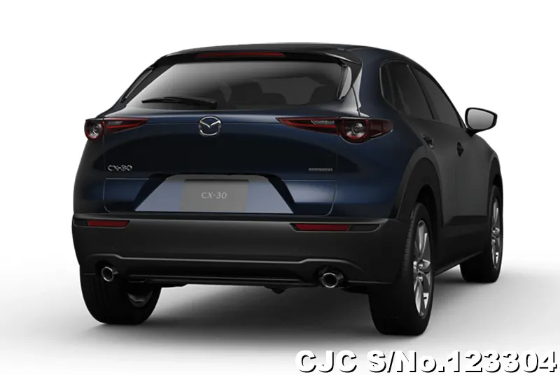 2025 Mazda / CX-30 Stock No. 123304