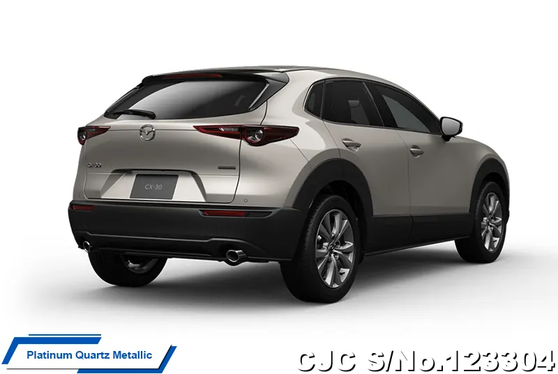 2025 Mazda / CX-30 Stock No. 123304