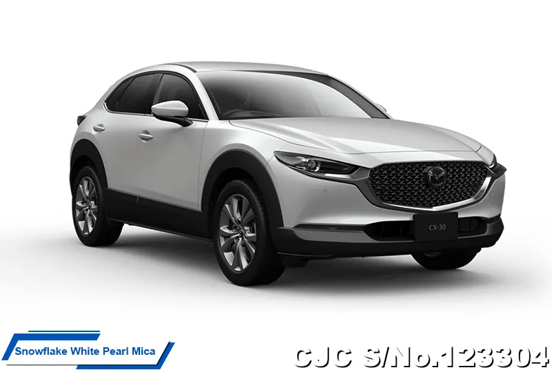 2025 Mazda / CX-30 Stock No. 123304