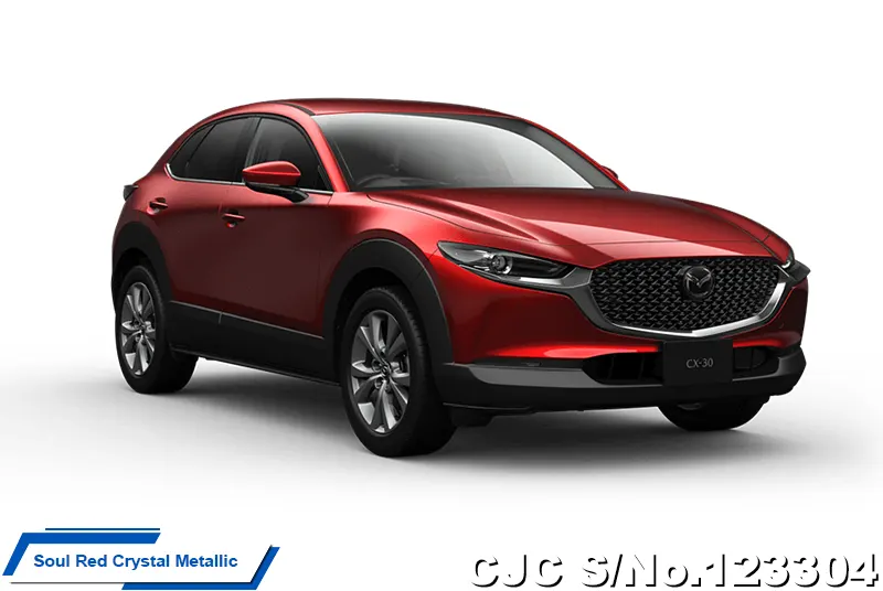 2025 Mazda / CX-30 Stock No. 123304