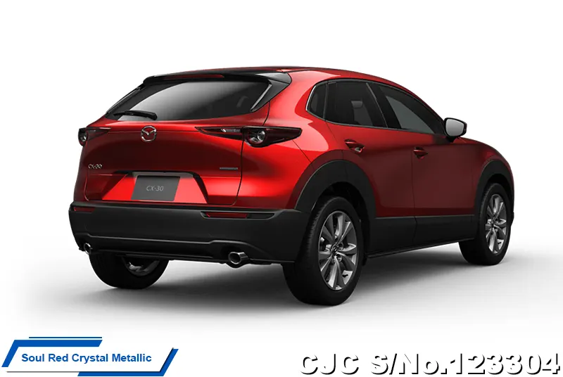 2025 Mazda / CX-30 Stock No. 123304