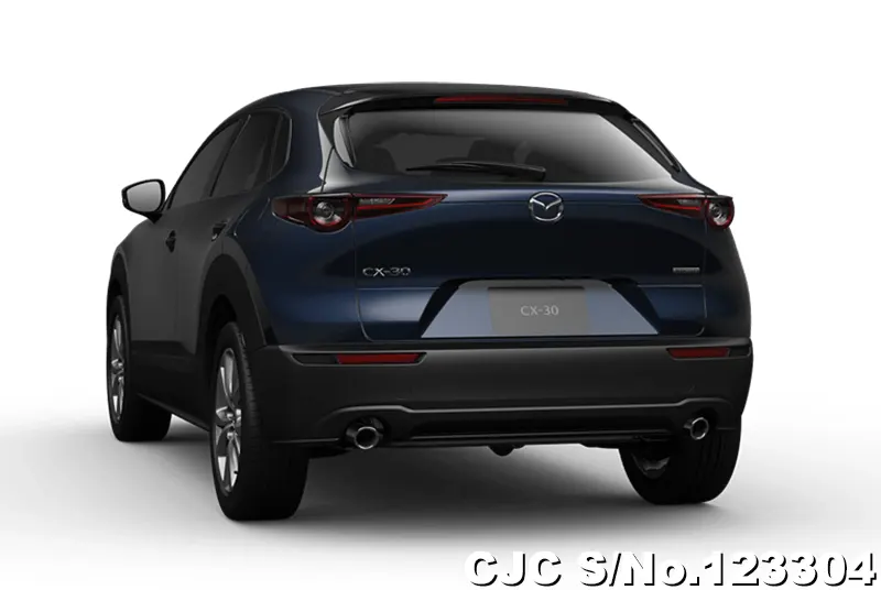 2025 Mazda / CX-30 Stock No. 123304