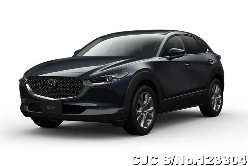 2025 Mazda / CX-30 Stock No. 123304