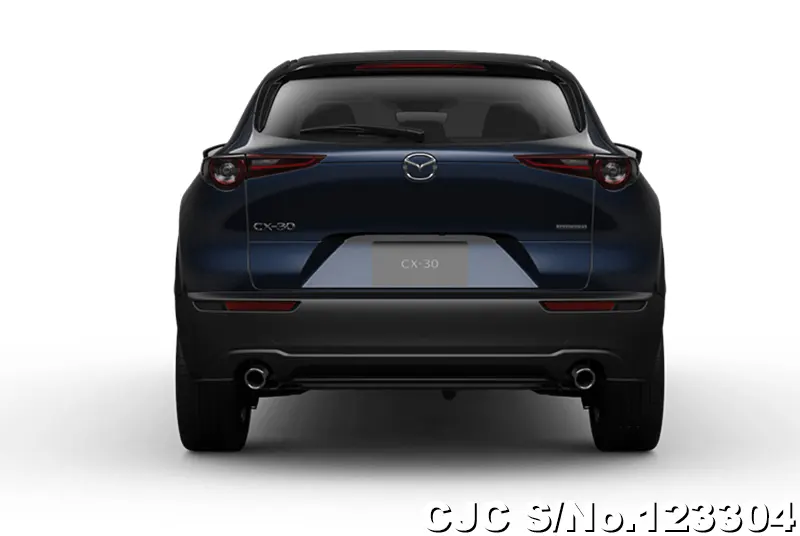 2025 Mazda / CX-30 Stock No. 123304