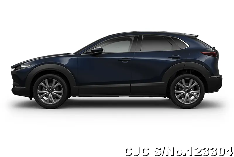 2025 Mazda / CX-30 Stock No. 123304