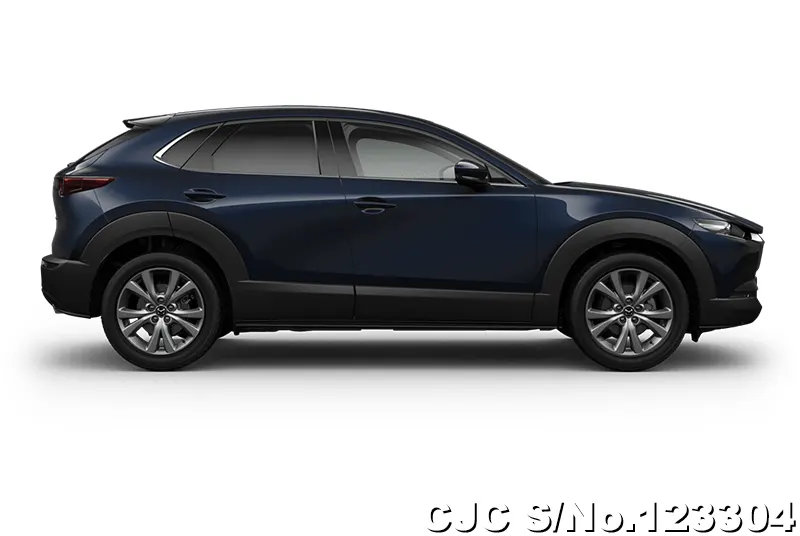 2025 Mazda / CX-30 Stock No. 123304