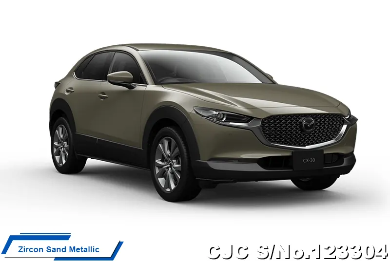 2025 Mazda / CX-30 Stock No. 123304