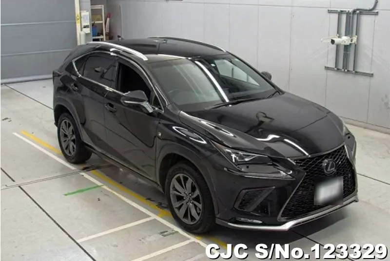 2018 Lexus / NX 200 Stock No. 123329