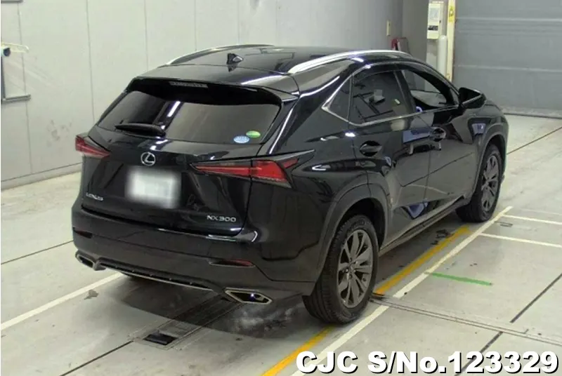 2018 Lexus / NX 200 Stock No. 123329