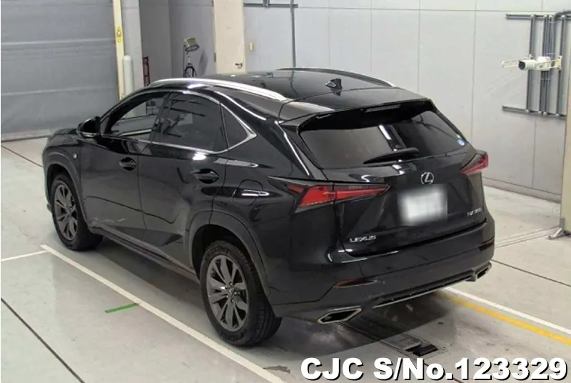 2018 Lexus / NX 200 Stock No. 123329