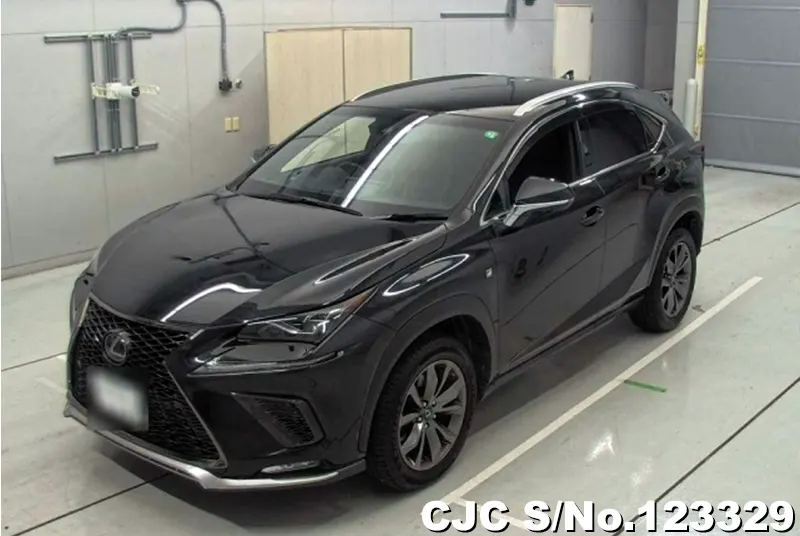 2018 Lexus / NX 200 Stock No. 123329