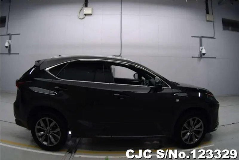 2018 Lexus / NX 200 Stock No. 123329