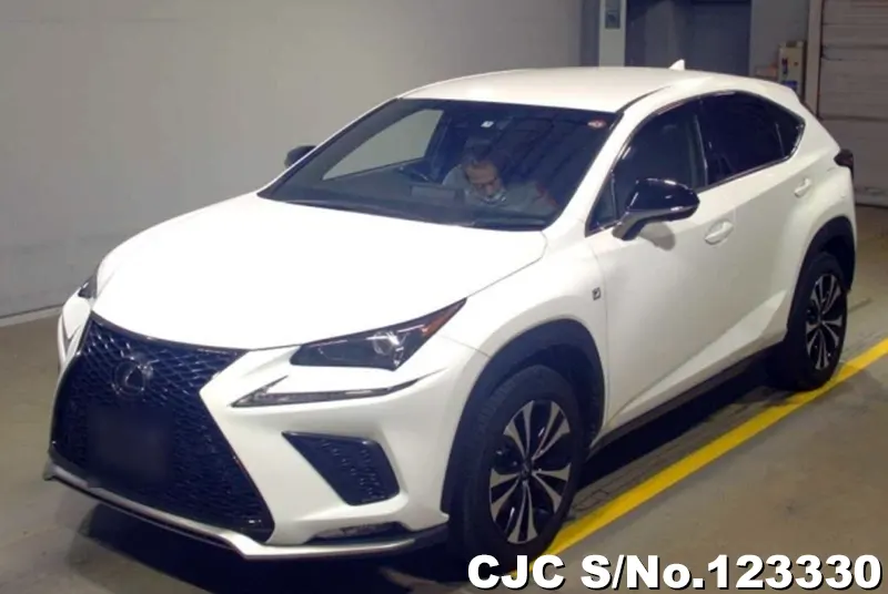 2019 Lexus / NX 300 Stock No. 123330