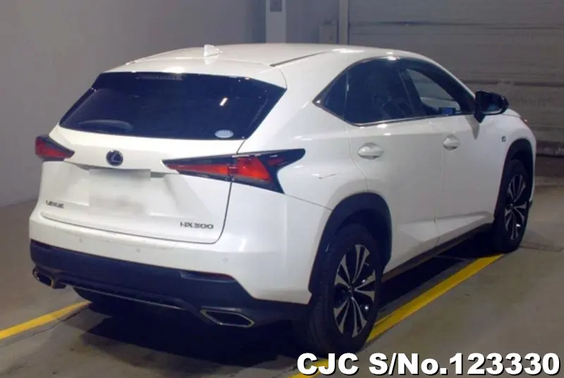 2019 Lexus / NX 300 Stock No. 123330