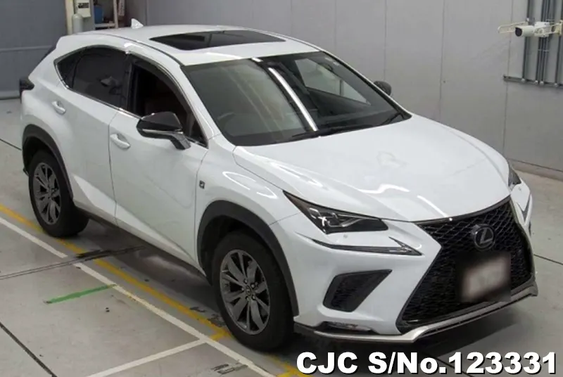 2019 Lexus / NX 300 Stock No. 123331