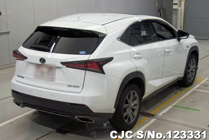 2019 Lexus / NX 300 Stock No. 123331