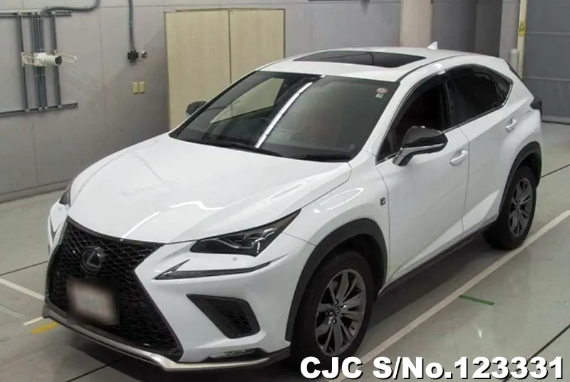 2019 Lexus / NX 300 Stock No. 123331