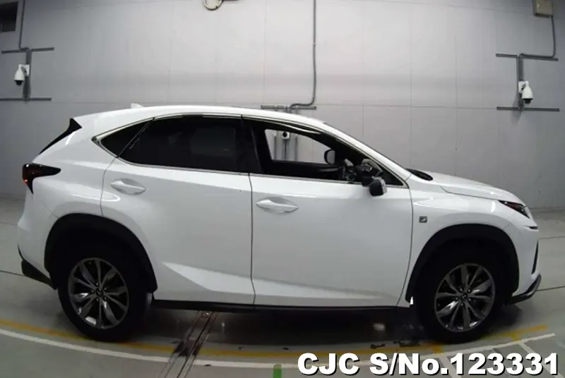 2019 Lexus / NX 300 Stock No. 123331