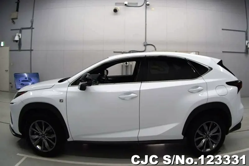 2019 Lexus / NX 300 Stock No. 123331