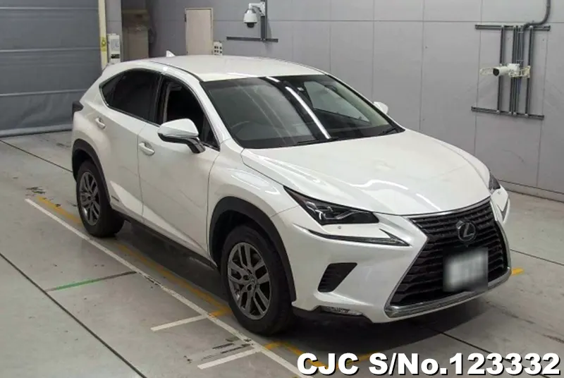 Lexus / NX 300h 2018