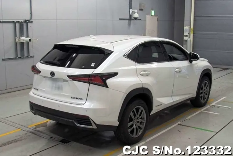 2018 Lexus / NX 300h Stock No. 123332