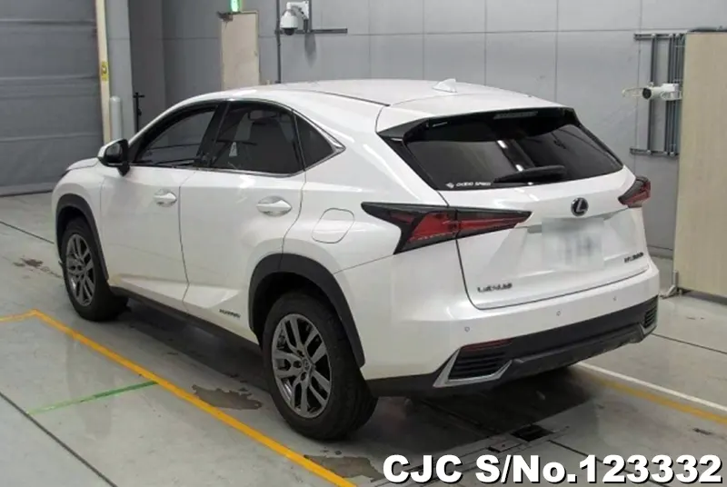 2018 Lexus / NX 300h Stock No. 123332