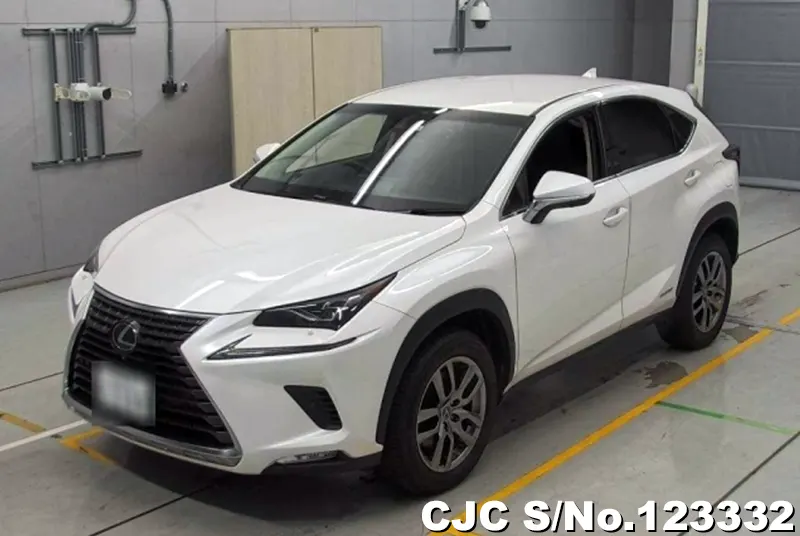 2018 Lexus / NX 300h Stock No. 123332