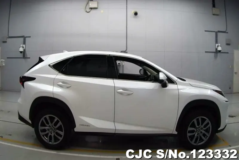 2018 Lexus / NX 300h Stock No. 123332