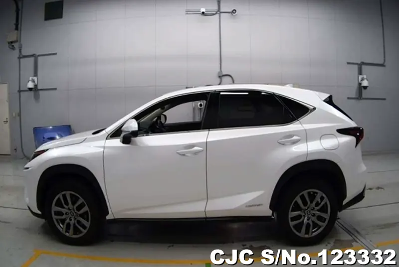 2018 Lexus / NX 300h Stock No. 123332